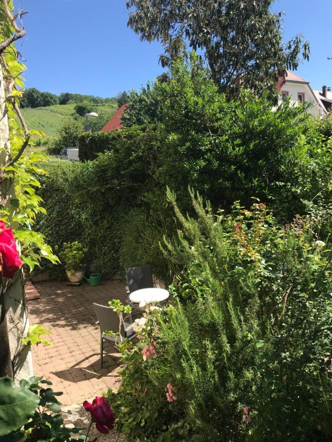 Gartenwohnung Gundelfingen  Ngoại thất bức ảnh